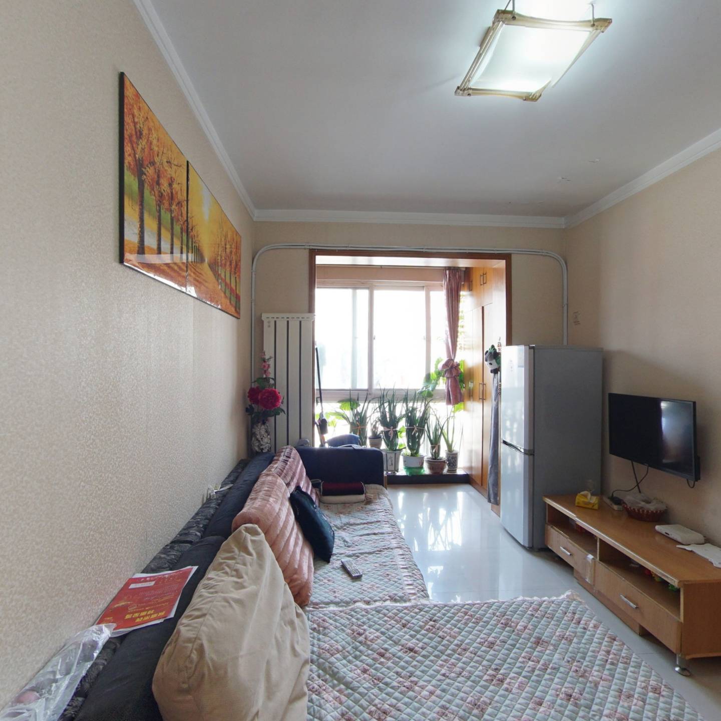 标准一室一厅 采光好 配套成熟 户型好