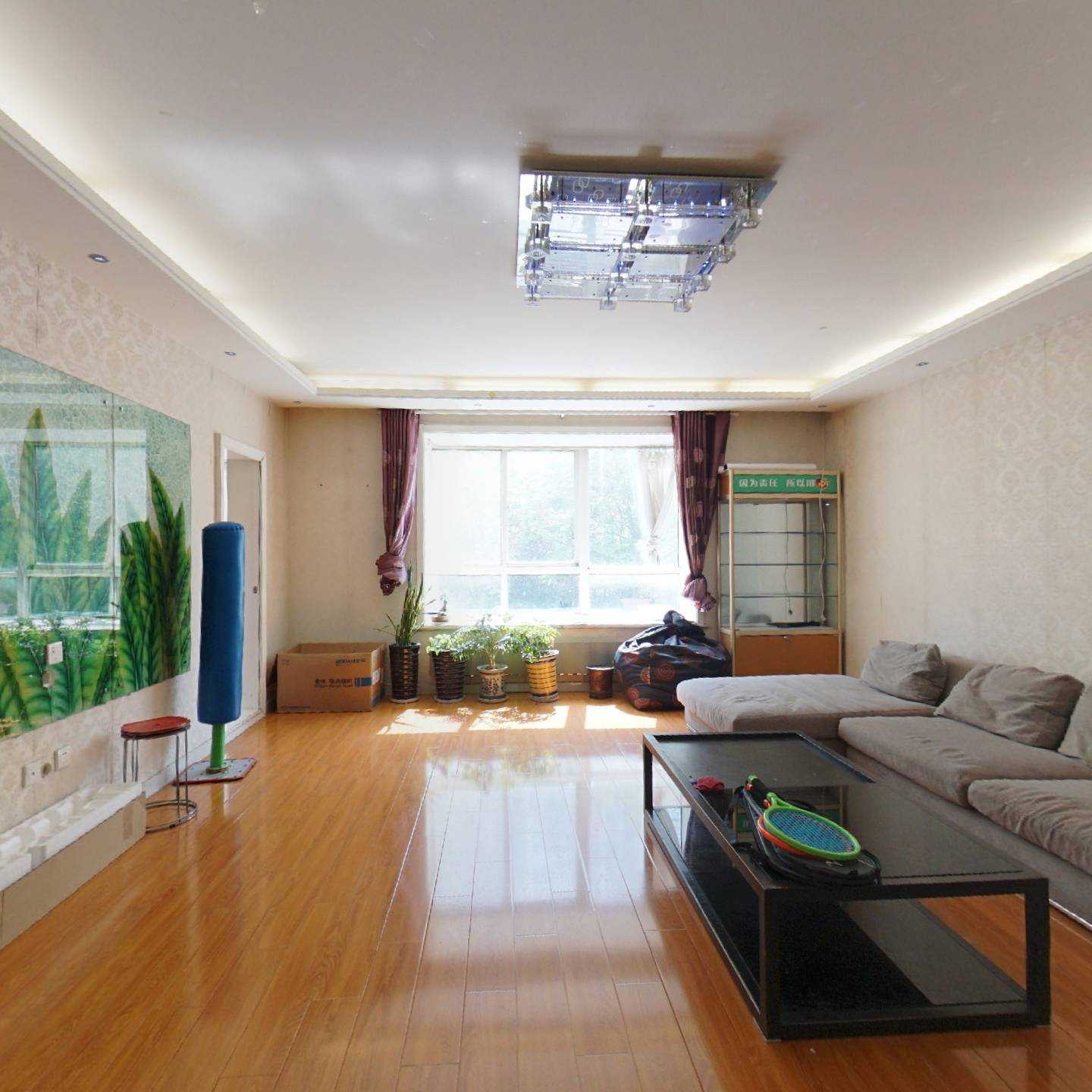 b1622056-8e8b-4f1b-b1a5-16cfe6c4462e.png.q_70.jpg